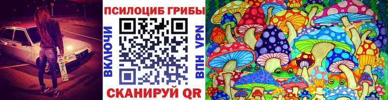 Псилоцибиновые грибы MAGIC MUSHROOMS  как найти закладки  Серов 