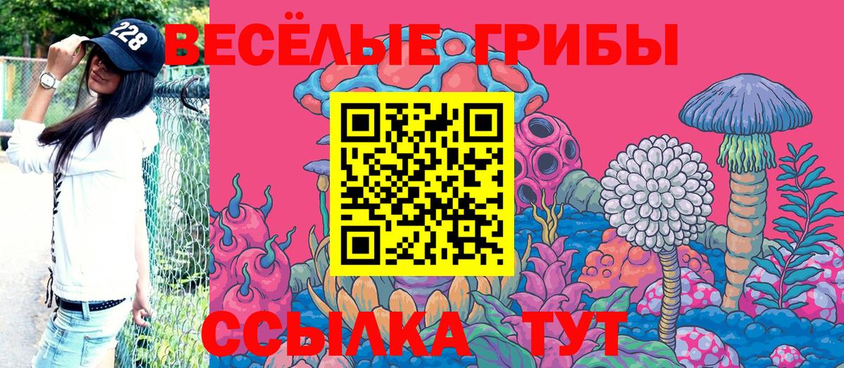 Галлюциногенные грибы мицелий Серов